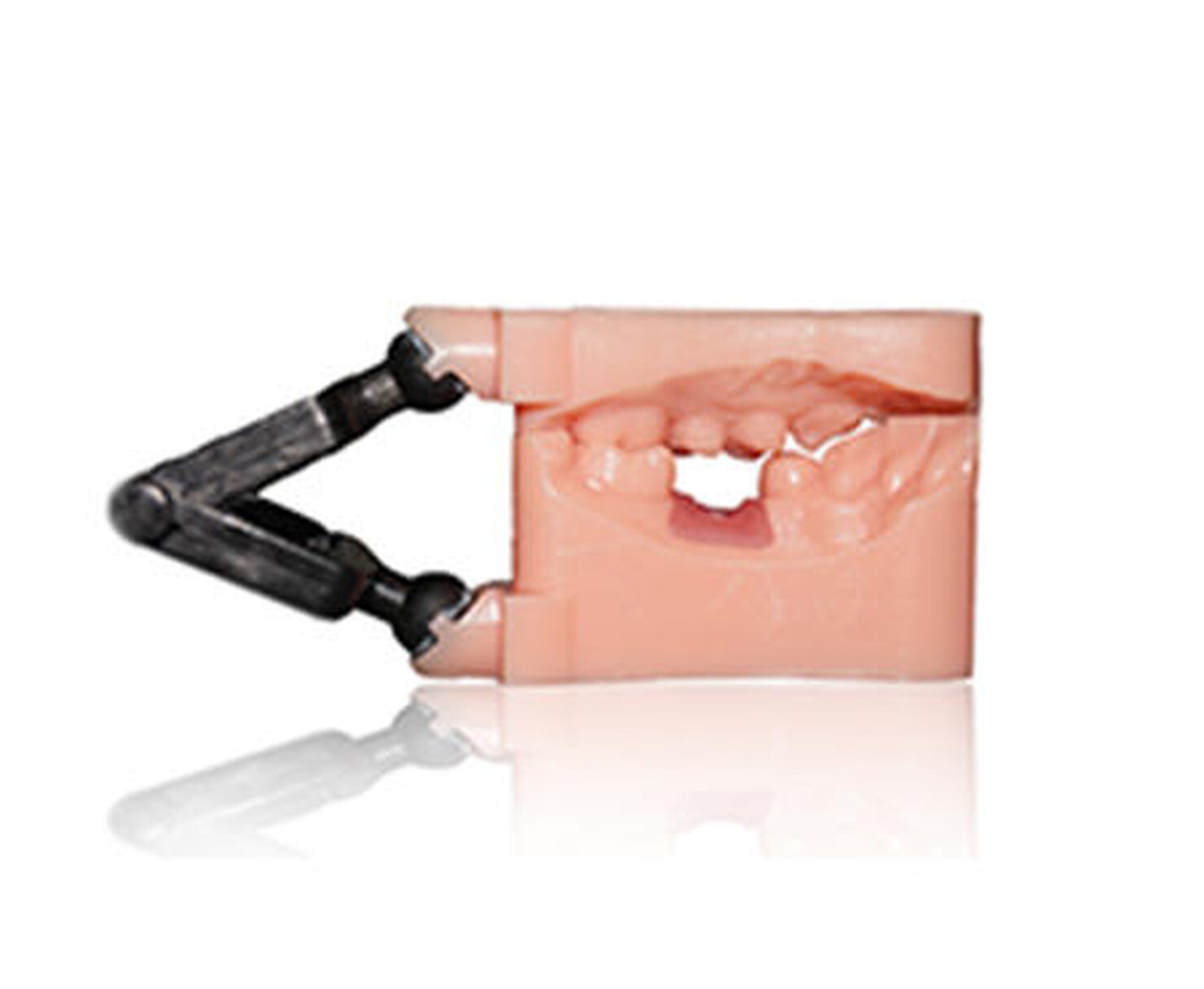 Applicazioni: modelli dentali