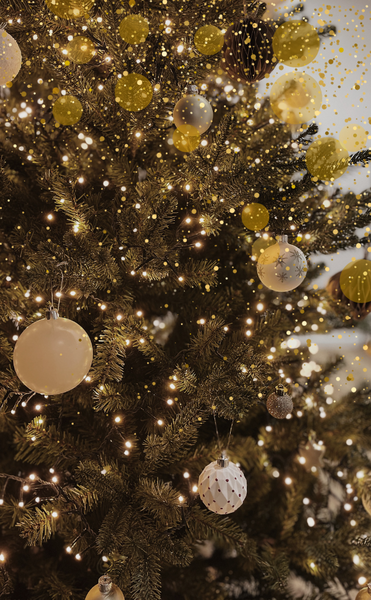 Chiusura natalizia 2025