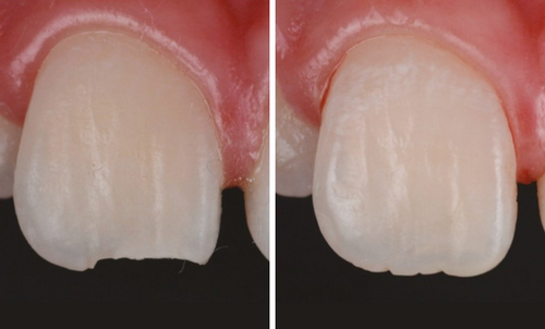 Immagine del Dr Walter Devoto