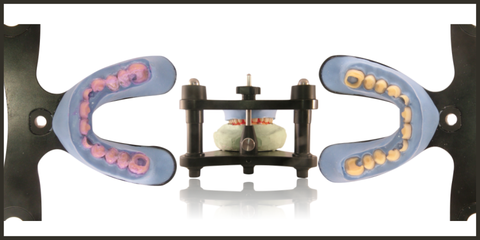 Corso Toronto con sistema Trasformer