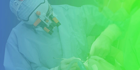 Corso di anatomia chirurgica e di dissezione su preparati anatomici