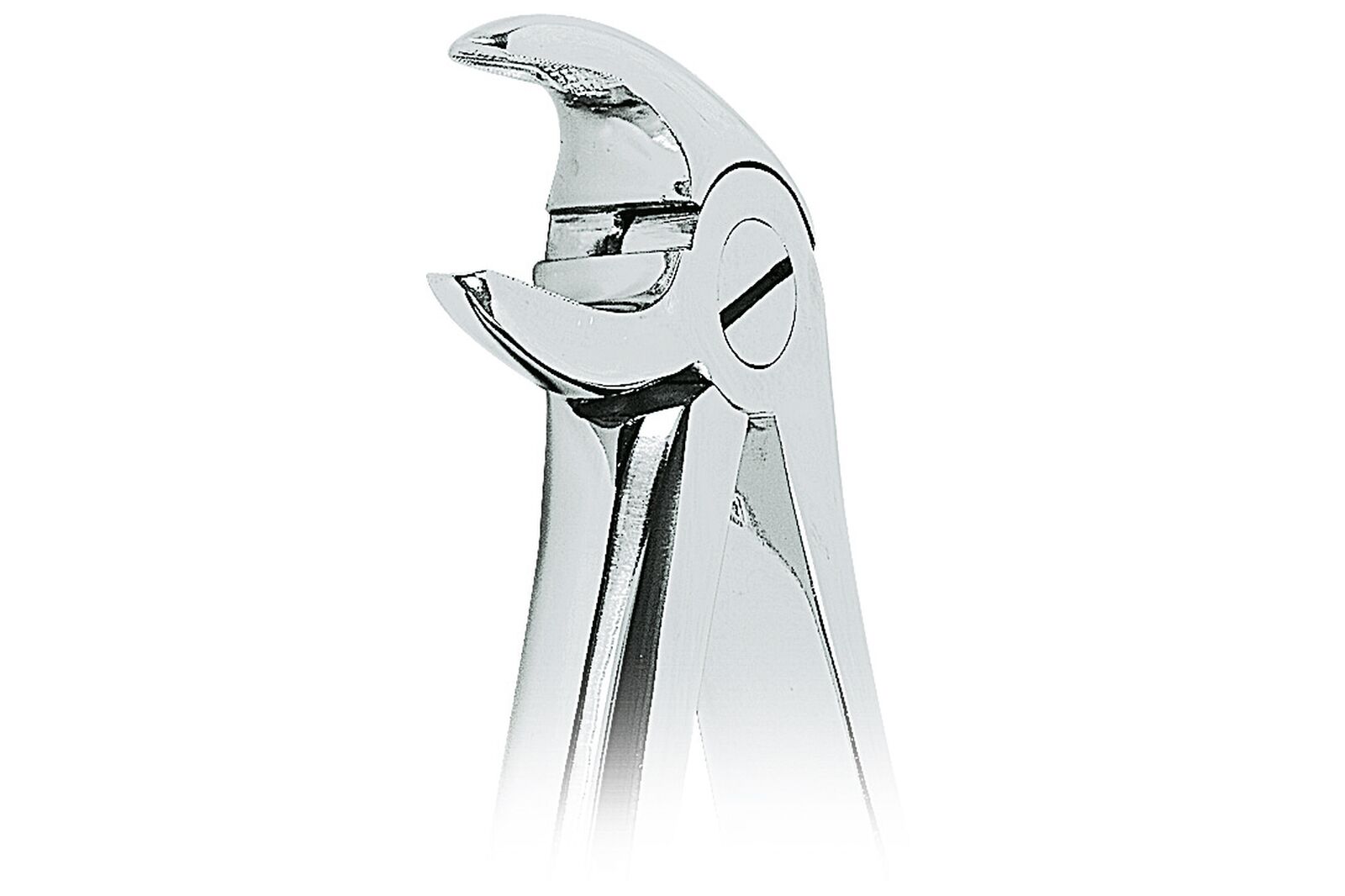 Asa Dental Pinza Per Estrazione Americana #65 Non Zigrinata (19 Cm - Foto 12