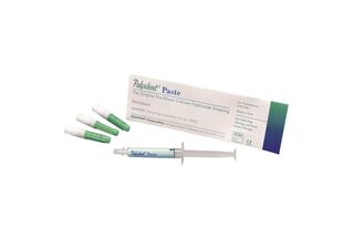 Pulpdent Paste PCA