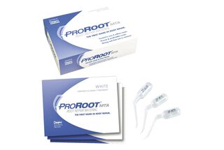 ProRoot MTA Maillefer