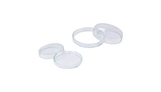 Scatola di Petri Larident