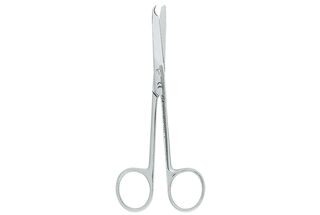 Forbici Spencer ASA Dental