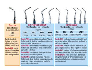 Inserti Conservativa/Restauro Acteon