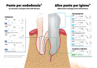 Punte per ablazione IDS